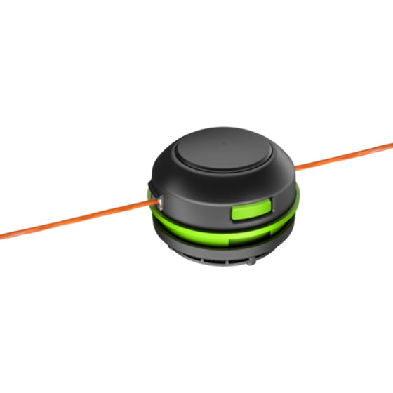 Testo alternativo immagine