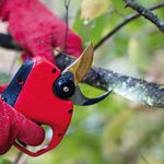 FELCO - Forbice elettrica 834W