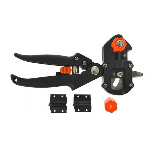 Testo alternativo immagine