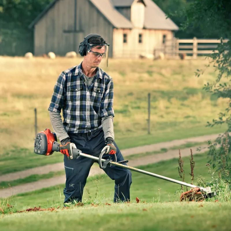 Testo alternativo immagine