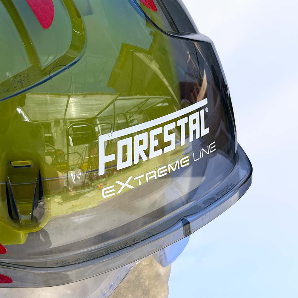 FORESTAL - Casco protettivo forestale