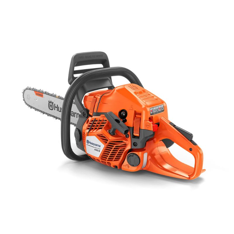 Testo alternativo immagine