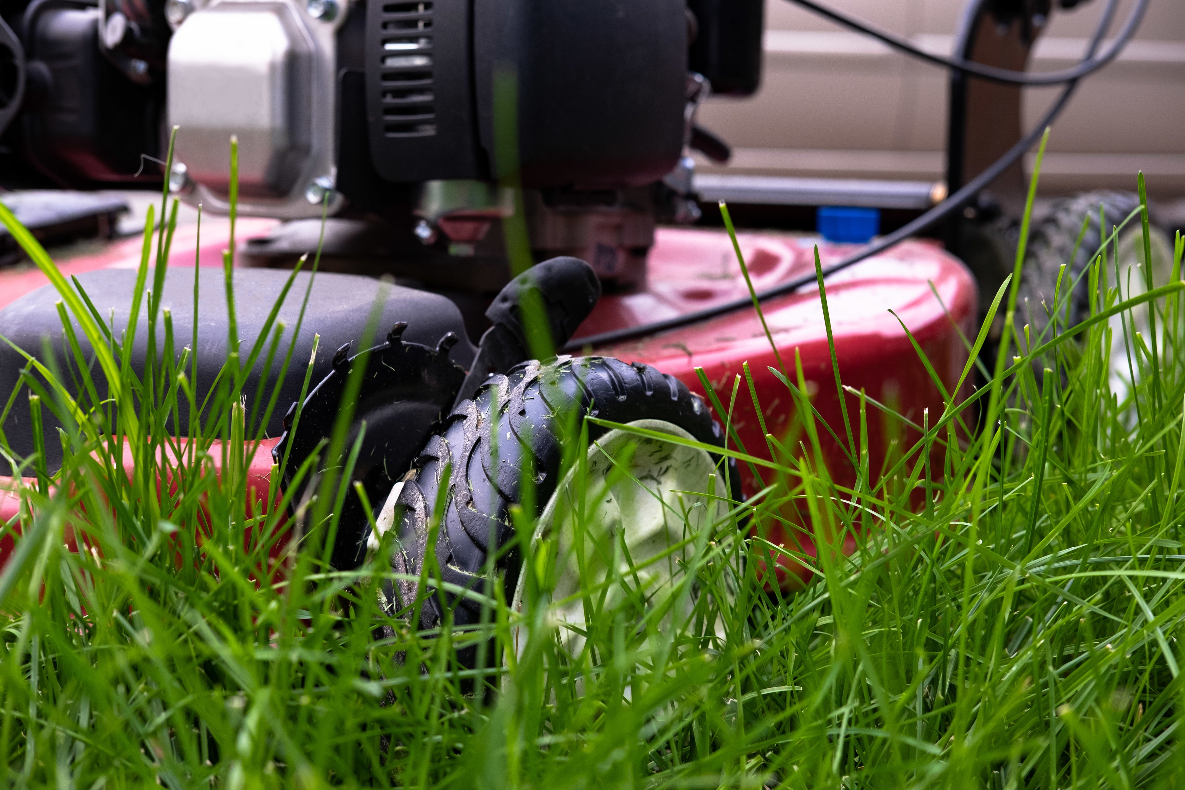 files/close-up-of-grass-and-mower.jpg