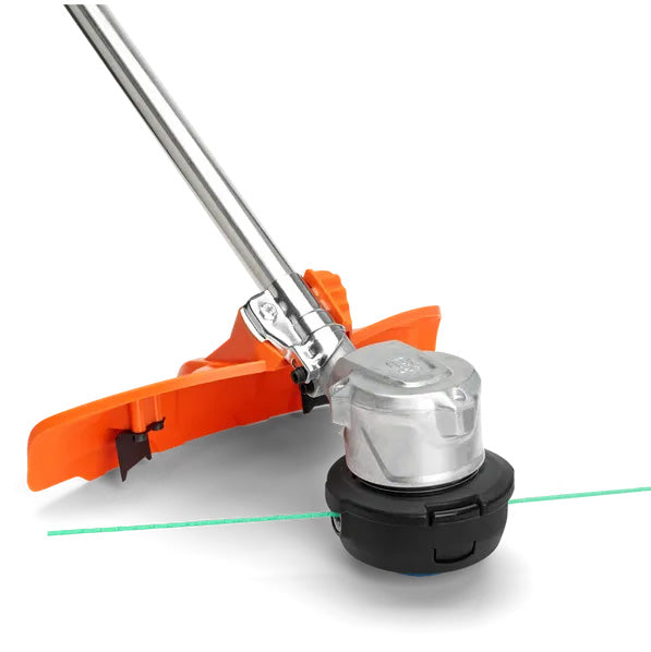 Testo alternativo immagine