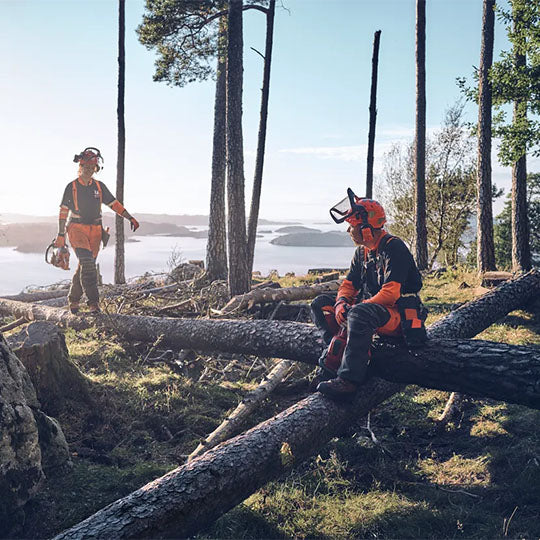HUSQVARNA - Elmetto forestale Technical