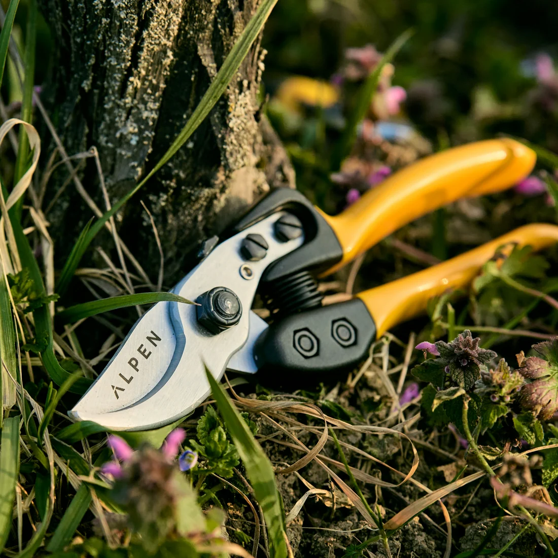 FELCO - Forbice da potatura Gelbhorn 150