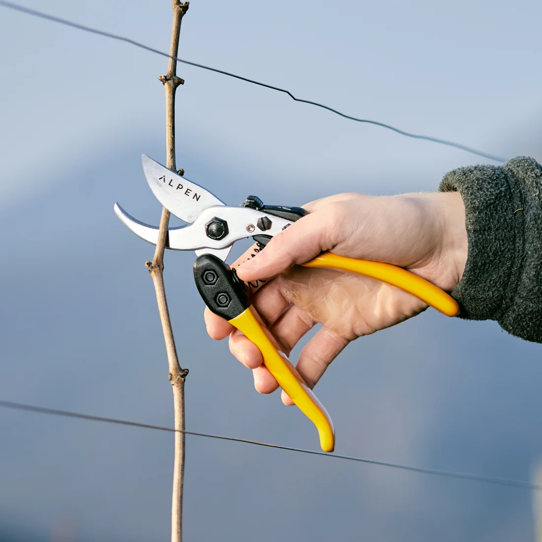FELCO - Forbice da potatura Gelbhorn 150