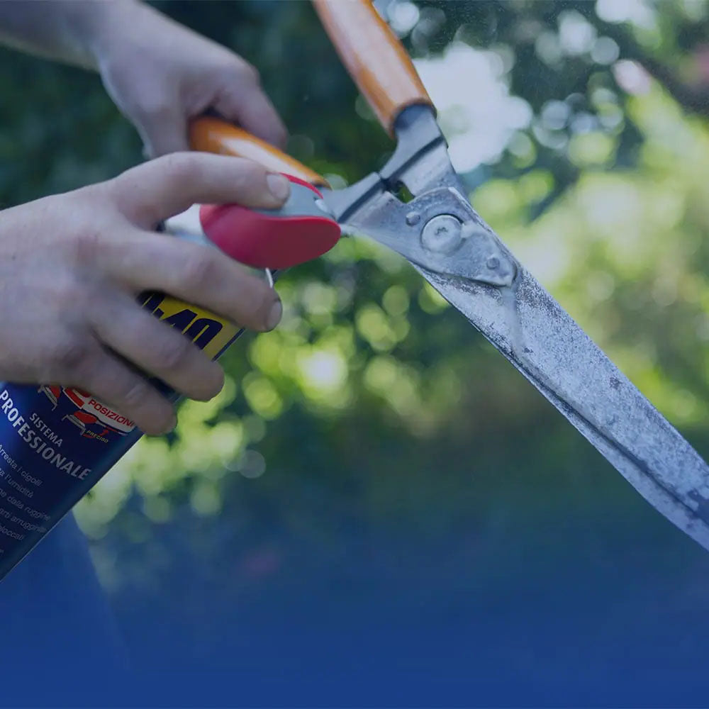 WD-40 - Prodotto multifunzione doppia posizione